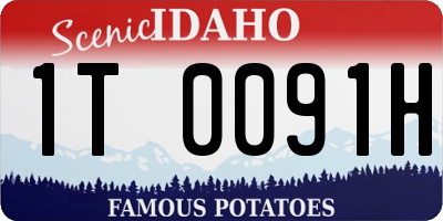 ID license plate 1T0091H
