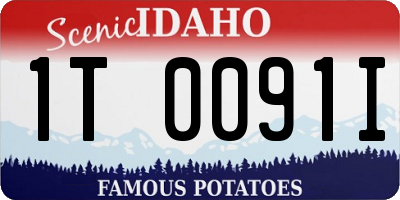 ID license plate 1T0091I