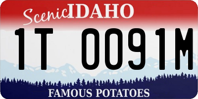 ID license plate 1T0091M
