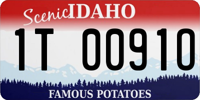 ID license plate 1T0091O