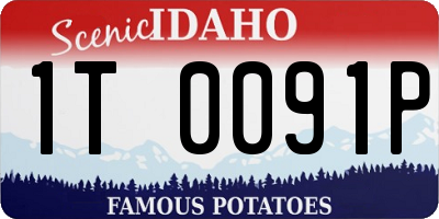 ID license plate 1T0091P