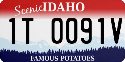 ID license plate 1T0091V