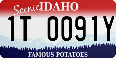 ID license plate 1T0091Y