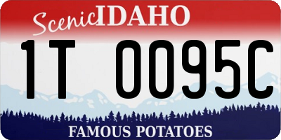 ID license plate 1T0095C