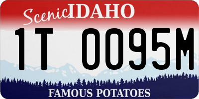 ID license plate 1T0095M