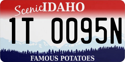 ID license plate 1T0095N