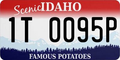 ID license plate 1T0095P