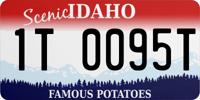 ID license plate 1T0095T