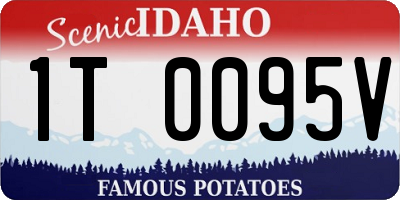 ID license plate 1T0095V
