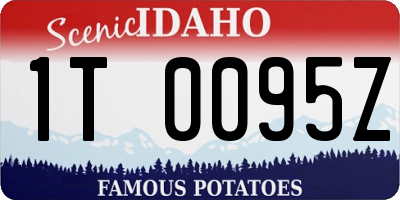 ID license plate 1T0095Z
