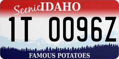 ID license plate 1T0096Z