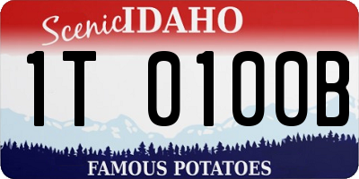 ID license plate 1T0100B