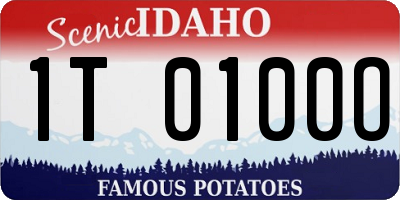 ID license plate 1T0100O