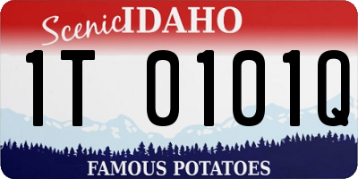 ID license plate 1T0101Q