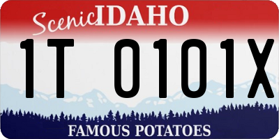 ID license plate 1T0101X