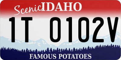 ID license plate 1T0102V