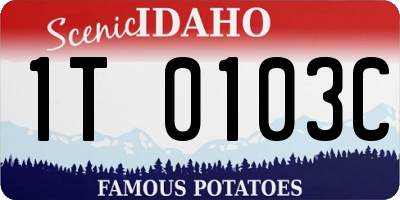 ID license plate 1T0103C