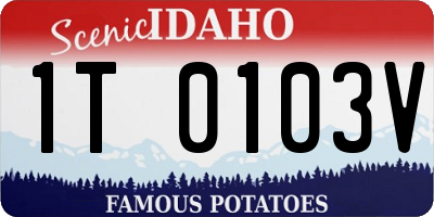 ID license plate 1T0103V