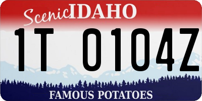 ID license plate 1T0104Z