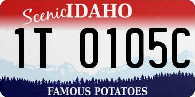 ID license plate 1T0105C