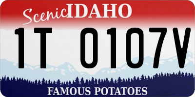 ID license plate 1T0107V