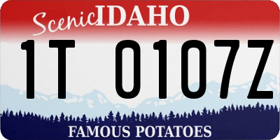 ID license plate 1T0107Z
