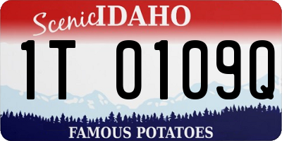 ID license plate 1T0109Q