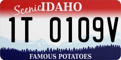 ID license plate 1T0109V