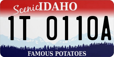 ID license plate 1T0110A