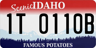 ID license plate 1T0110B