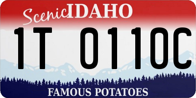 ID license plate 1T0110C
