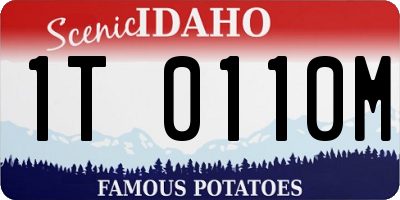 ID license plate 1T0110M