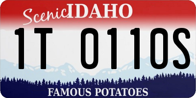 ID license plate 1T0110S