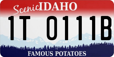 ID license plate 1T0111B