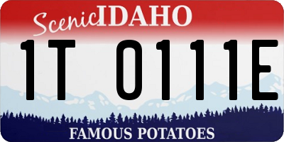ID license plate 1T0111E