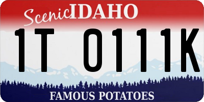 ID license plate 1T0111K