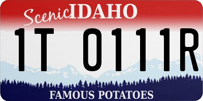 ID license plate 1T0111R