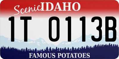 ID license plate 1T0113B
