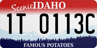 ID license plate 1T0113C
