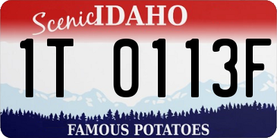 ID license plate 1T0113F