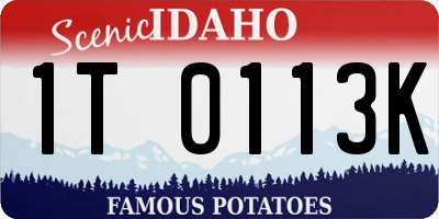 ID license plate 1T0113K