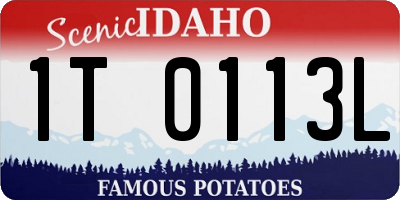 ID license plate 1T0113L