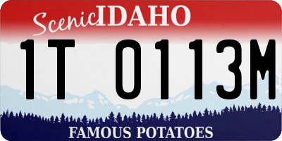 ID license plate 1T0113M