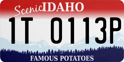 ID license plate 1T0113P