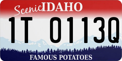 ID license plate 1T0113Q