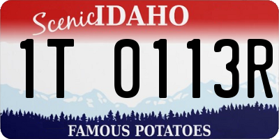 ID license plate 1T0113R