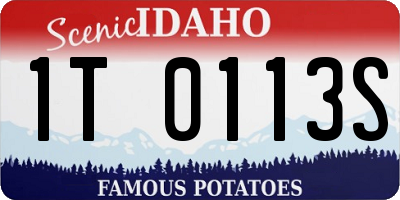 ID license plate 1T0113S