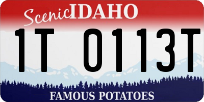 ID license plate 1T0113T