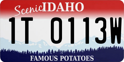 ID license plate 1T0113W