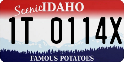 ID license plate 1T0114X